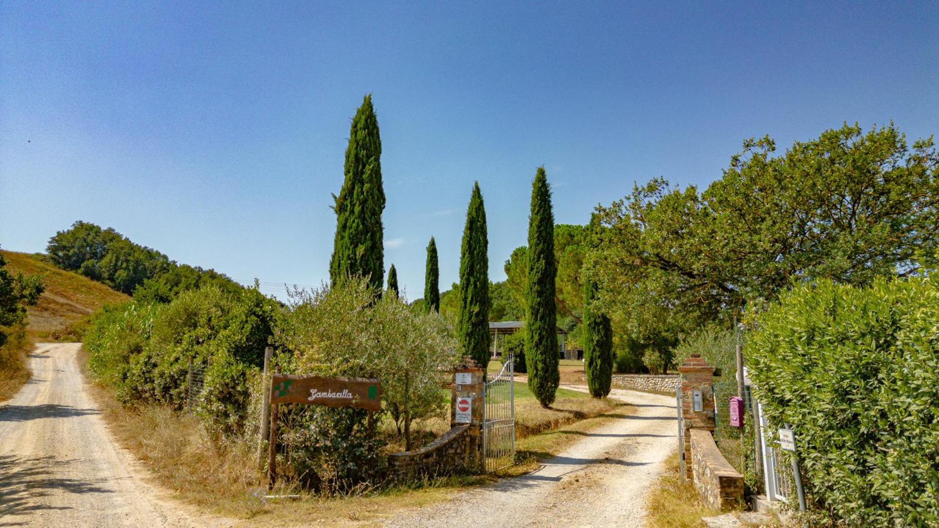 Ulivo-Chianti Charming Flat With Private Parking! Apartment Asciano Luaran gambar